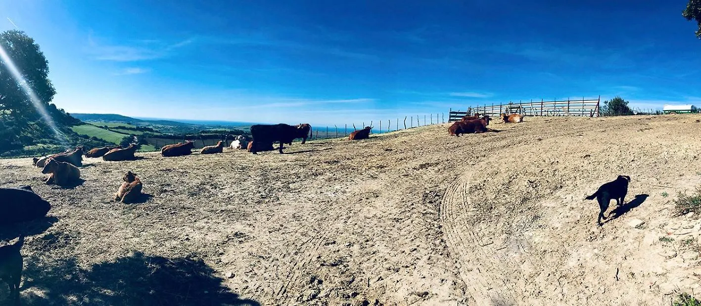 Сasa de vacaciones Villa RuralCaMomo Cádiz España