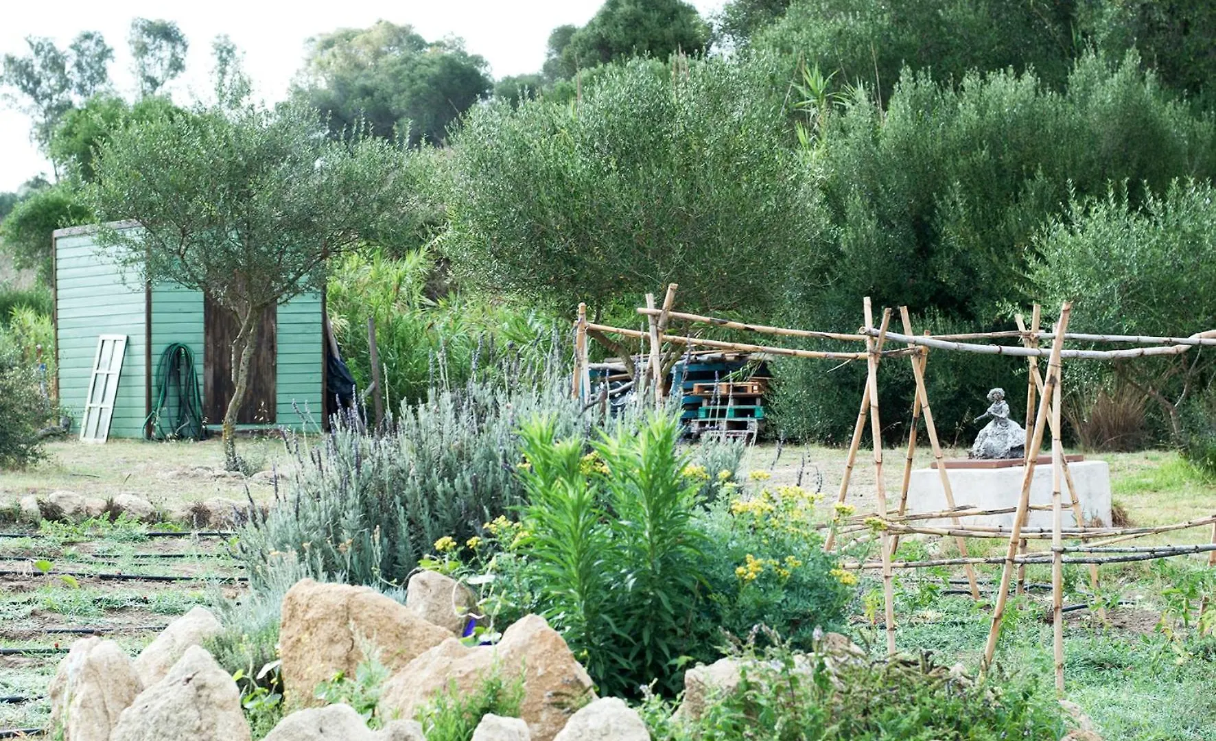 Hébergement de vacances Villa Ruralcamomo à Cadix Espagne
